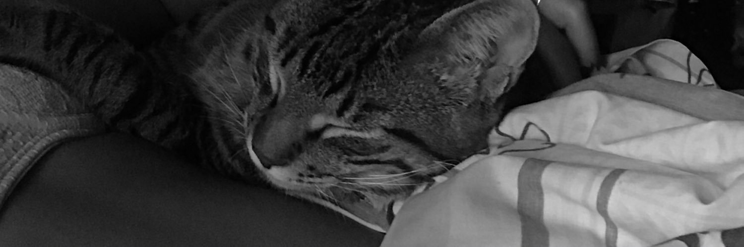 BeluGuc's profile banner image