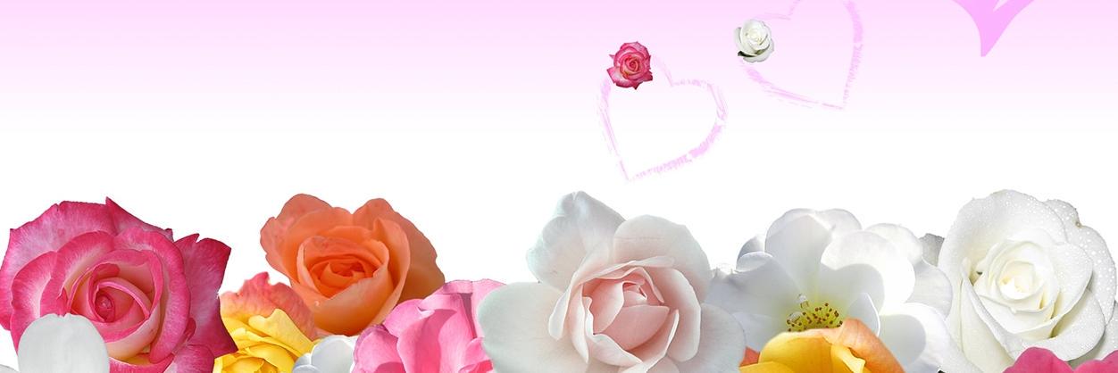 antosugirtha's profile banner image
