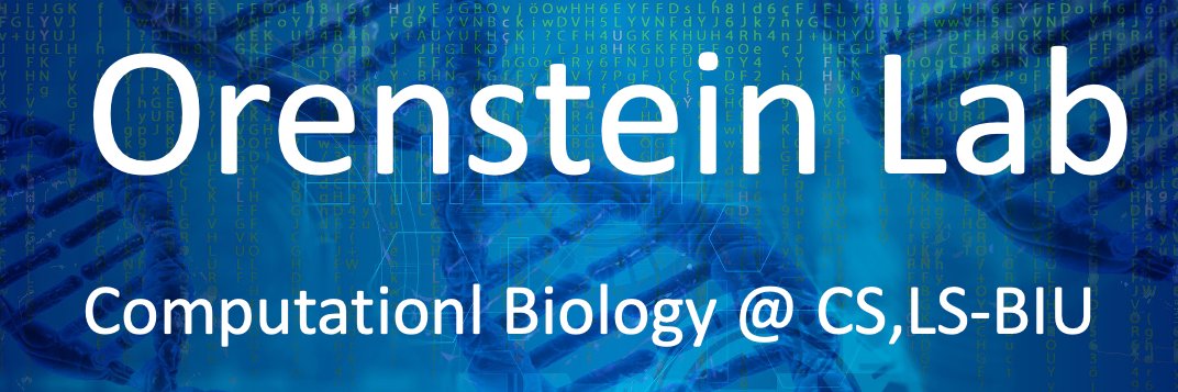 Yaron Orenstein's banner