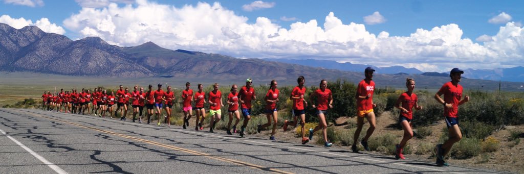 Malone University XC/T&F banner