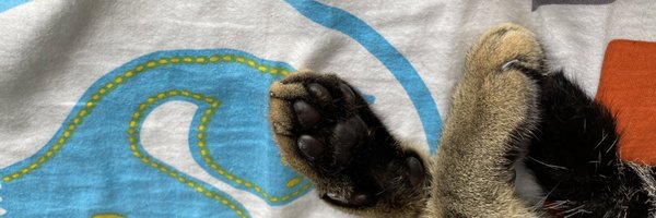 emh_14 Profile Banner