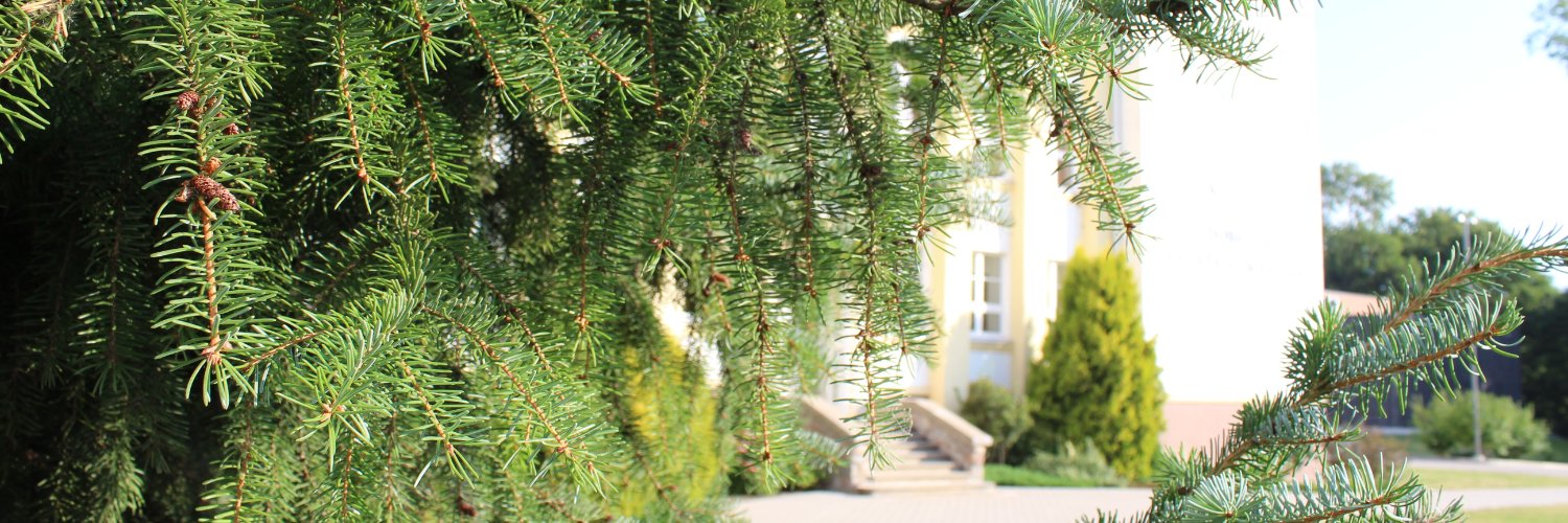 Dobeles Valsts ģimnāzija banner