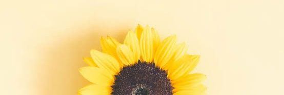 cmomell's profile banner image