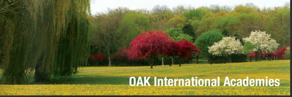 Oak International banner