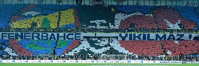 Caner banner