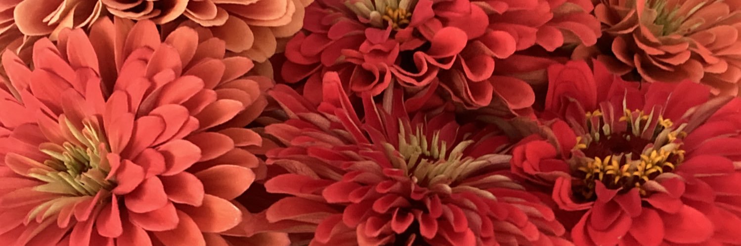 AllyLush's profile banner image