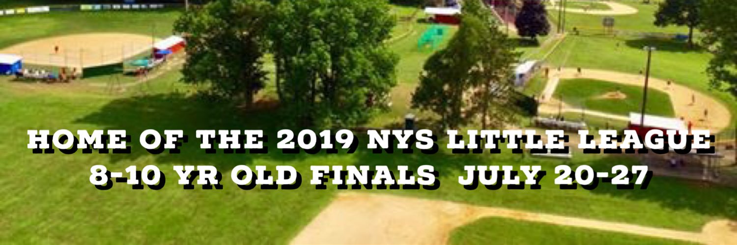 Owego Little League banner