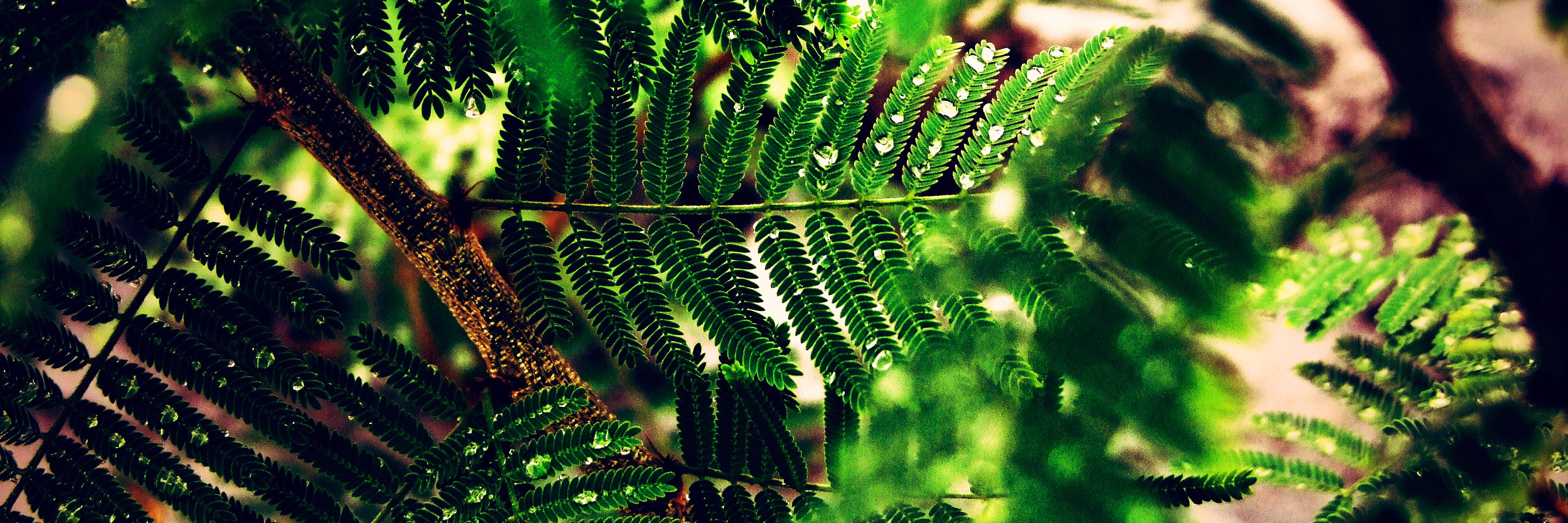 abhinavgpt's profile banner image