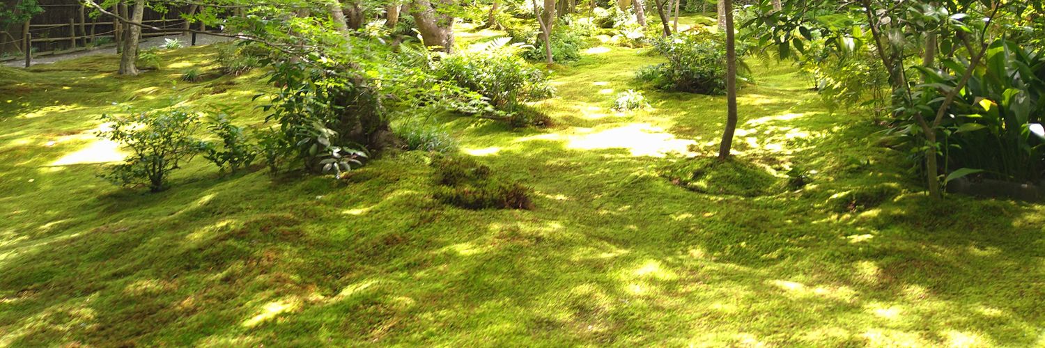 ren_goblin's profile banner image