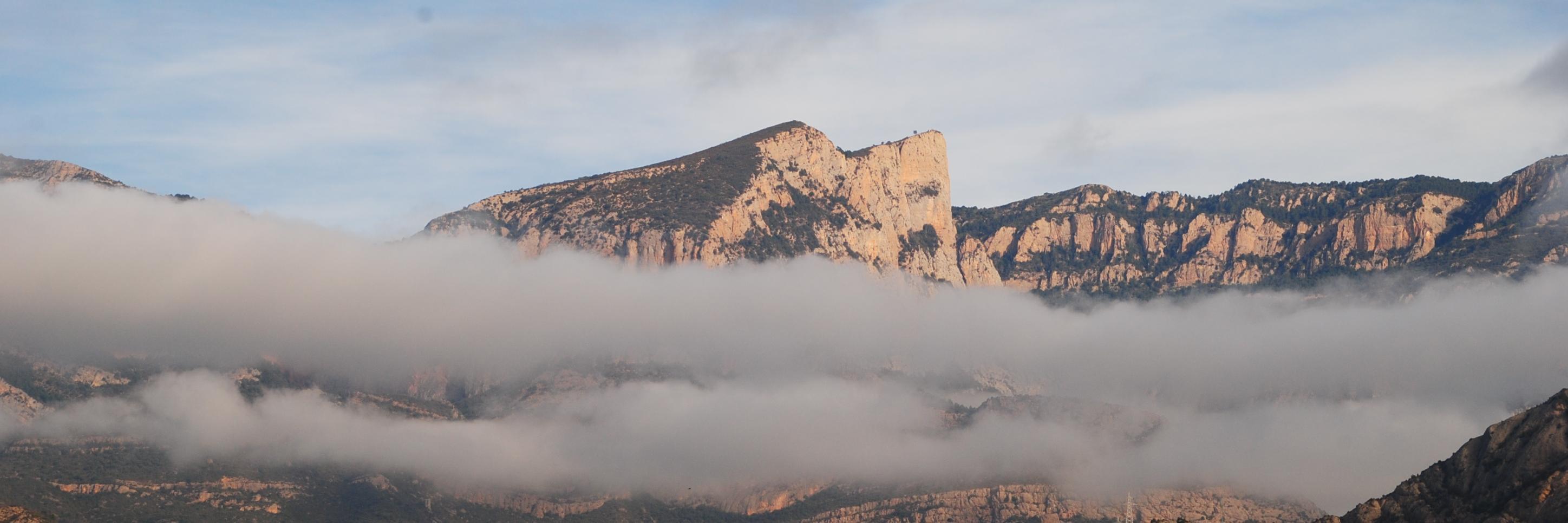 Albert_inLabFIB's profile banner image