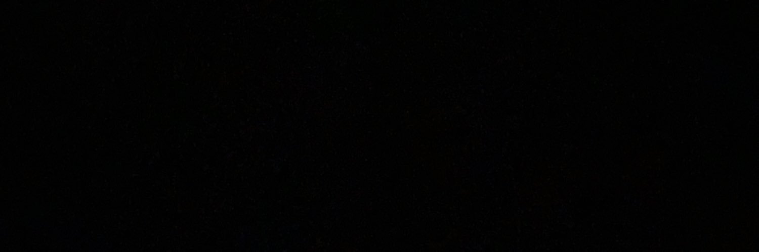 17040803L's profile banner image