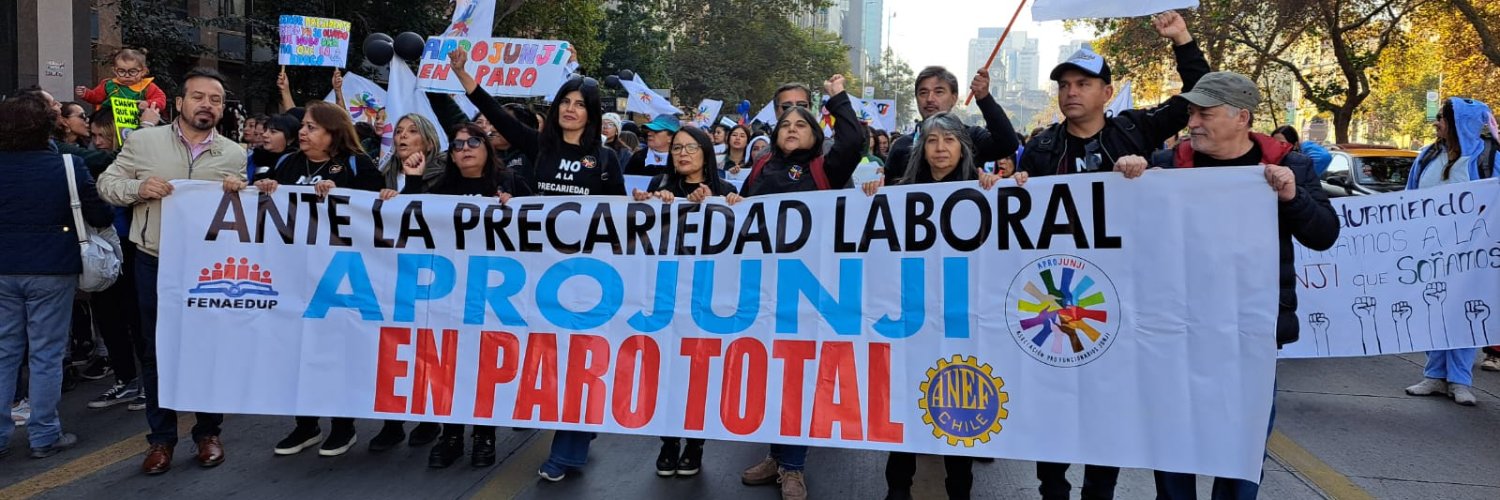 Aprojunji en Acción banner