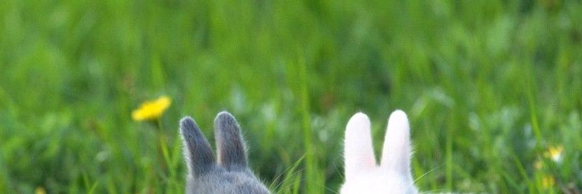 ʀɪᴅᴇ ᴛᴏ ᴛʜᴇ ᴍᴏᴏɴ ☾ banner