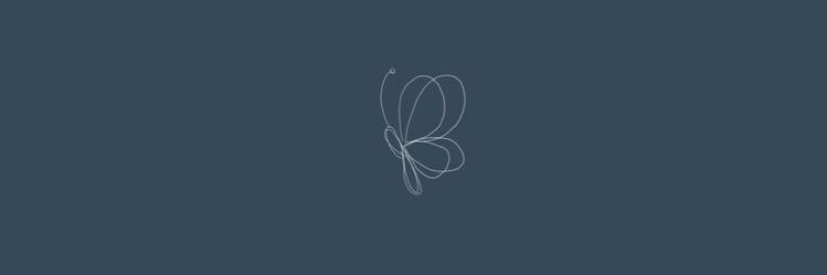 secretpi banner