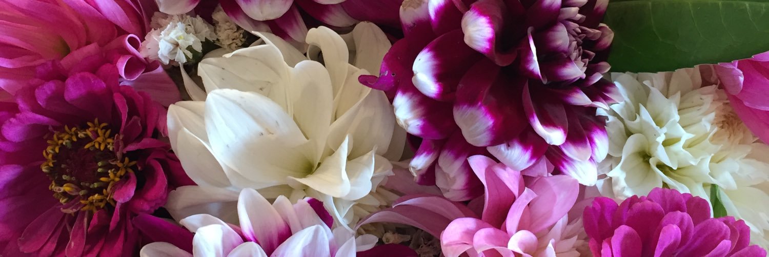 Jenntryy's profile banner image