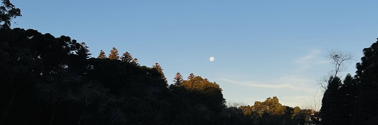 bellyrosa1's profile banner image