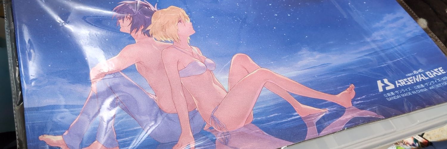 riaβ banner