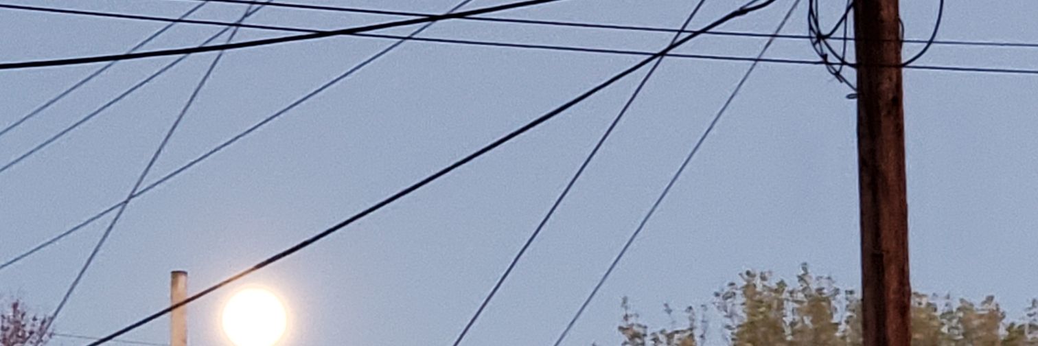 Timmy15901742's profile banner image