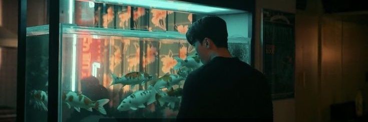 zielwdry's profile banner image