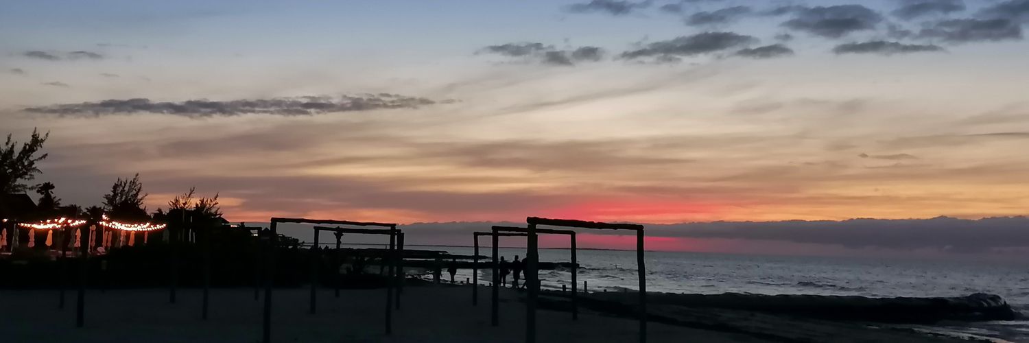 ReadingPAR's profile banner image