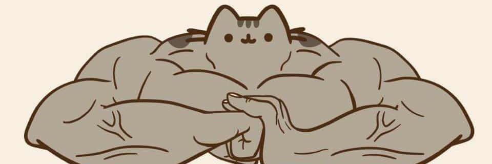 OnePunchManSSBM's profile banner image