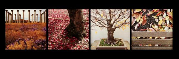 C_Maddaloni Profile Banner