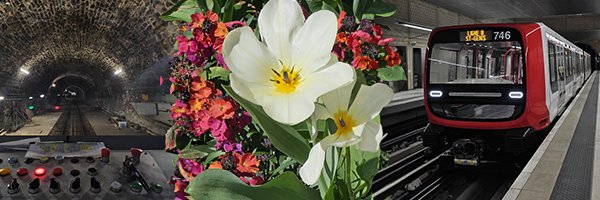 Juste_Yanis Profile Banner