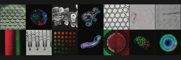 TheLutolfLab Profile Banner