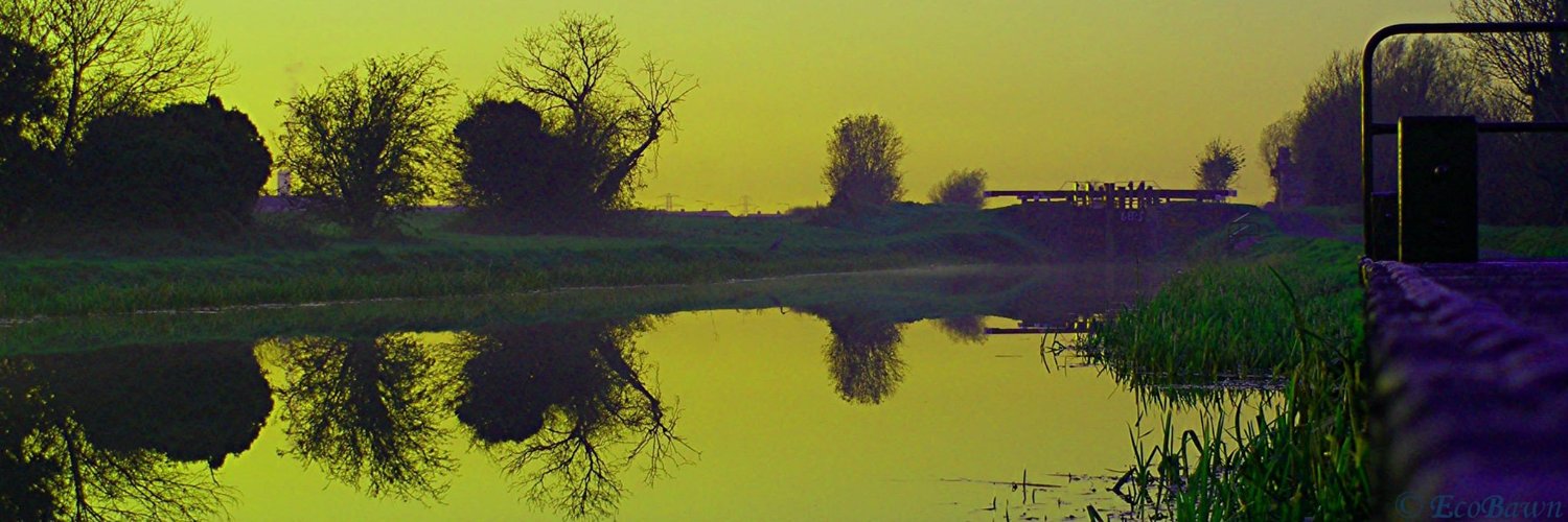 SandraScully3's profile banner image