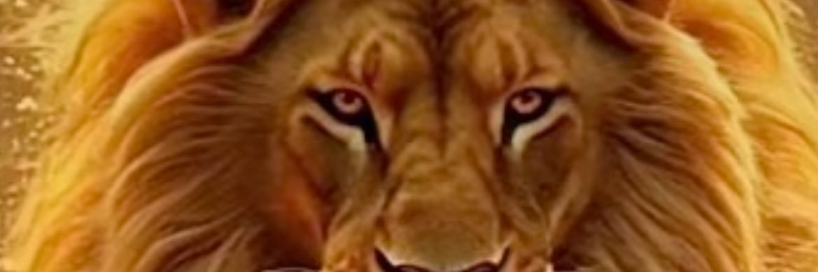 yiys banner