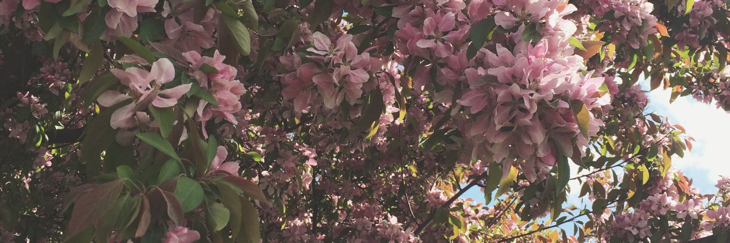 EmmaRawall's profile banner image