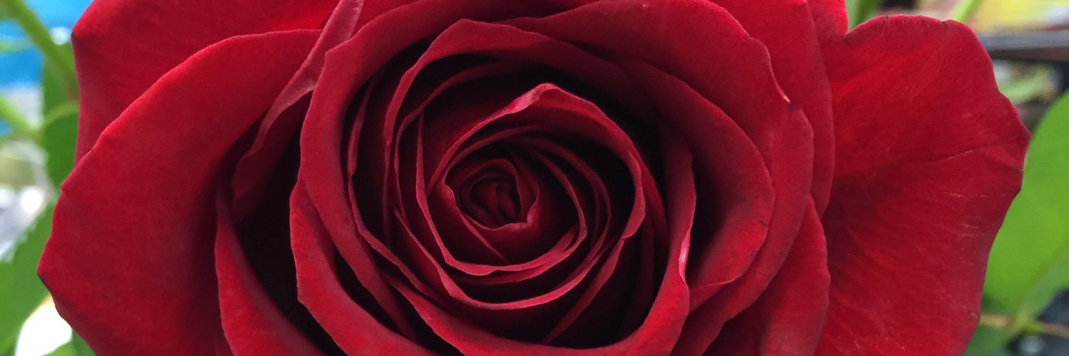 Howard_LisaS's profile banner image