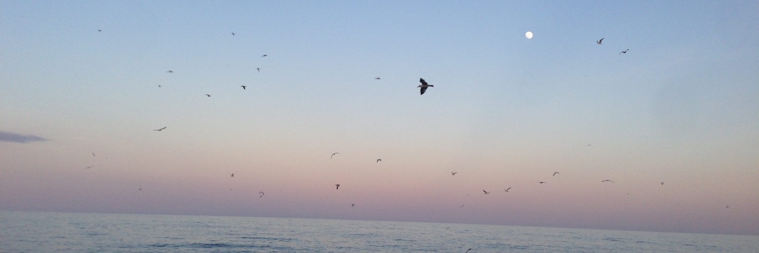 selfnetworks's profile banner image