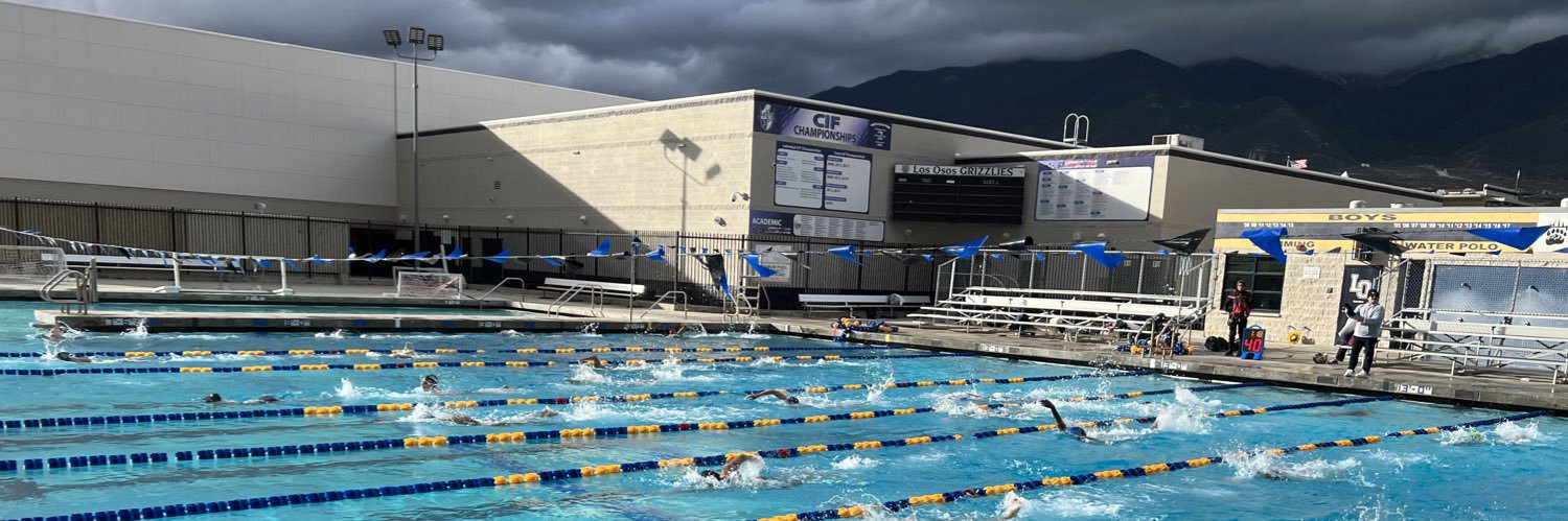 LOHS Swim & Dive banner