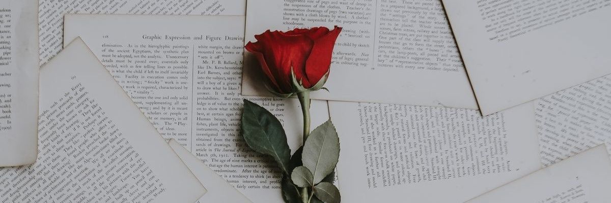 AlexiaPalma23's profile banner image