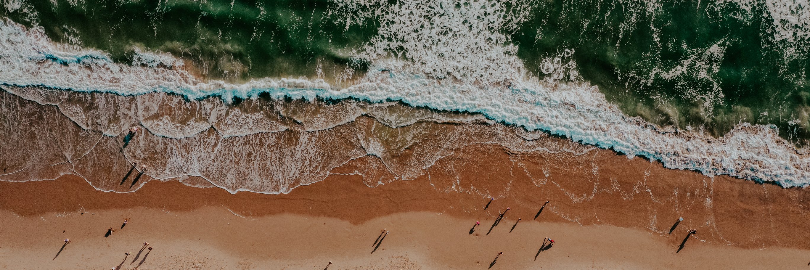 Hiroya Brian Nakano banner