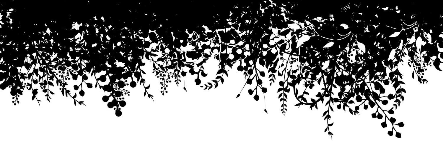 aya0826's profile banner image