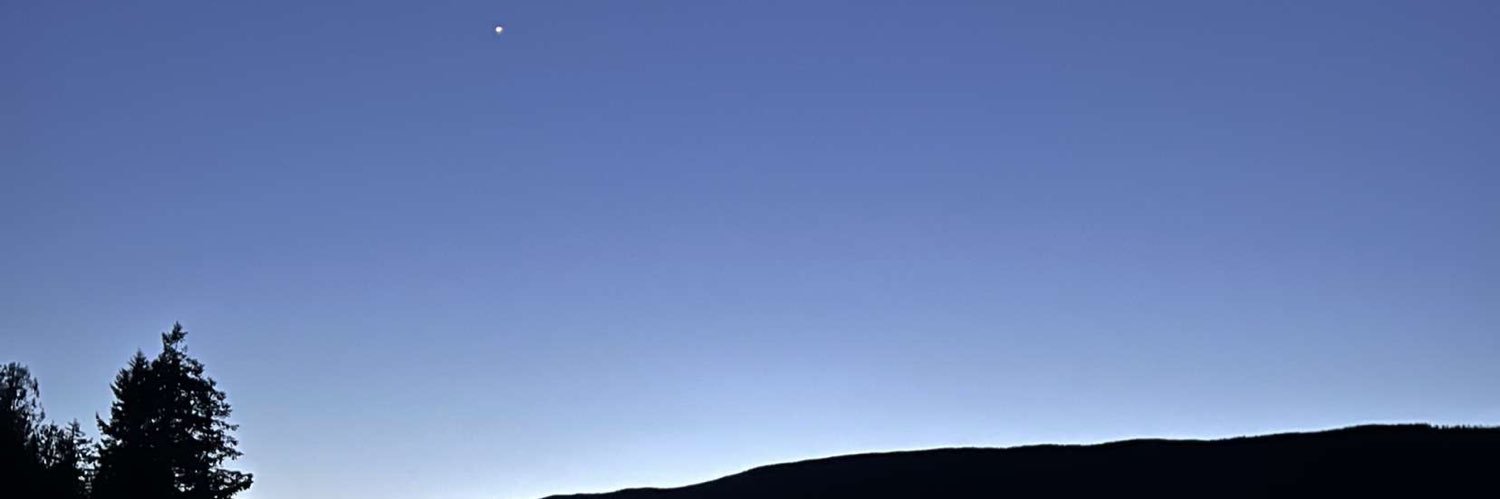 levi banner