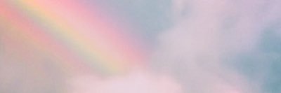 katt🐈🌈 banner