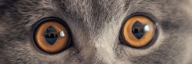 bejustwen's profile banner image
