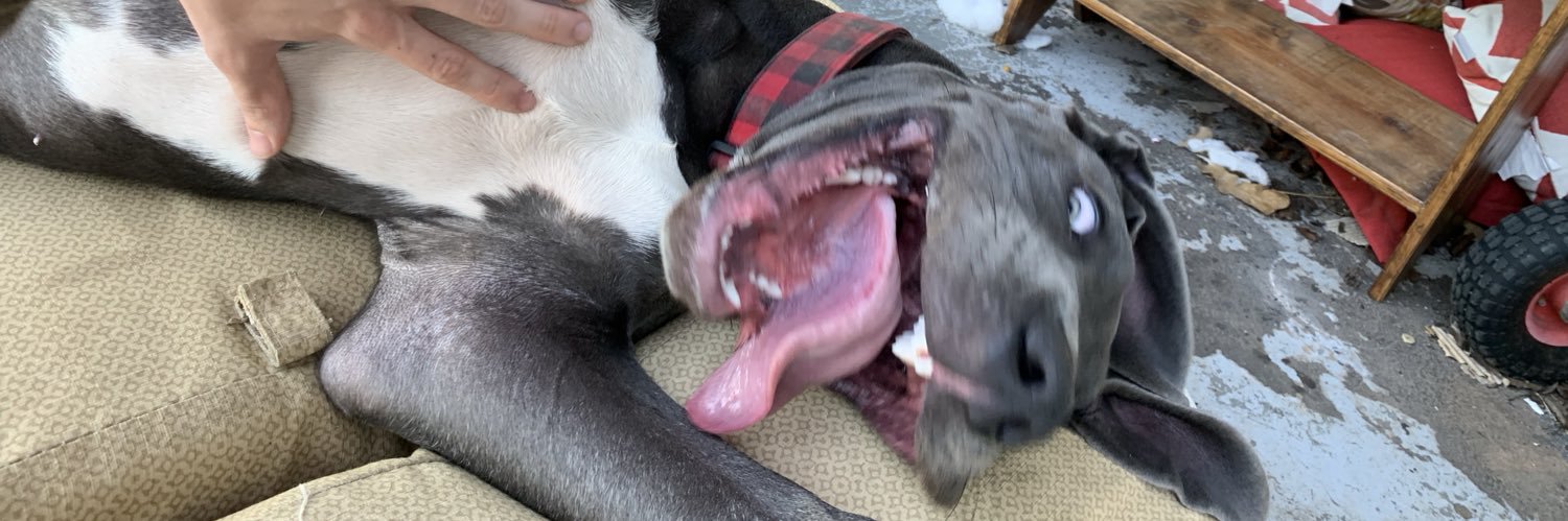 BraxtonTaylor07's profile banner image