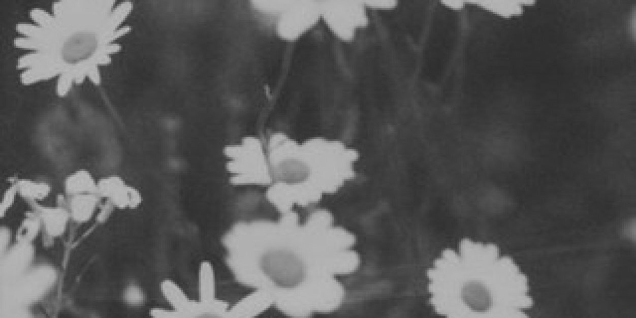 leticiannye's profile banner image
