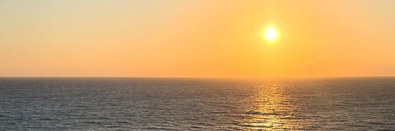 HallMadison99's profile banner image