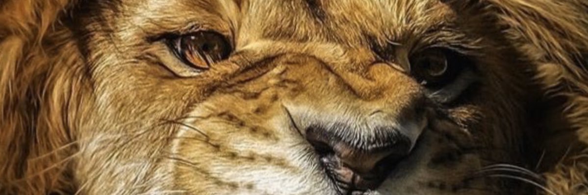 Loerenaa's profile banner image