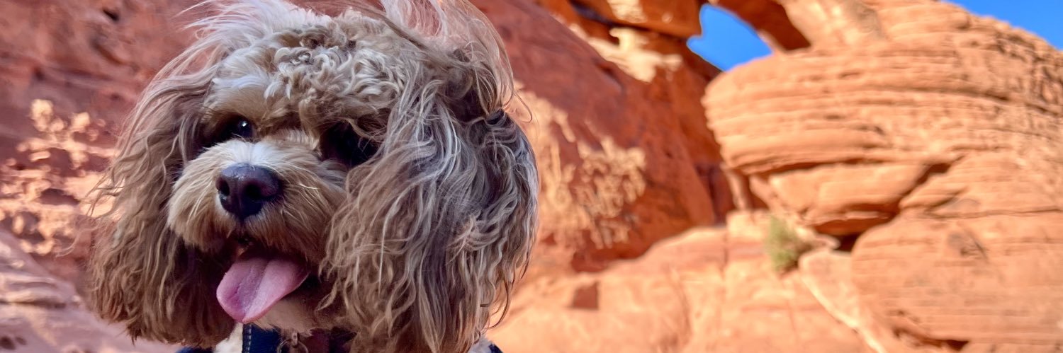 Jordan Handrich aka Illiterati banner