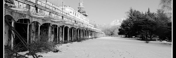 gpcerri Profile Banner