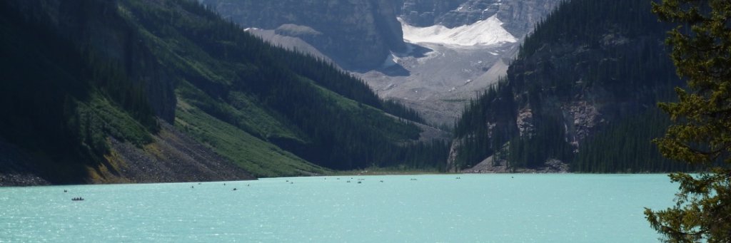 Kelly Wilder Snow banner