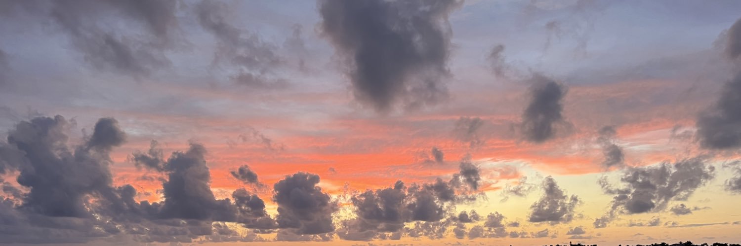 FrannieMolinary's profile banner image