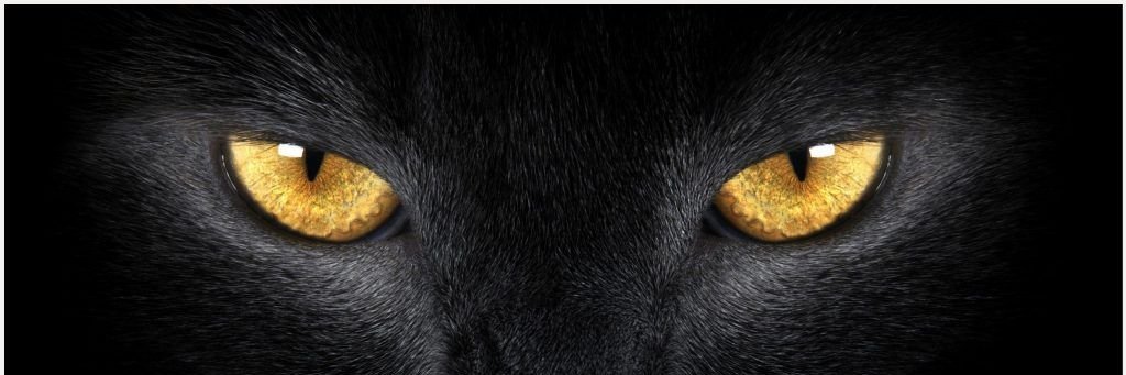 kalllibilli's profile banner image