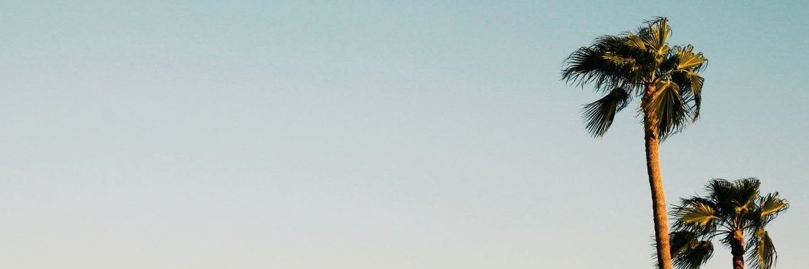 moqoy's profile banner image